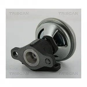 Клапан EGR TRISCAN 8813 43003 HYUNDAI KIA synthetic.ua - Фото 1