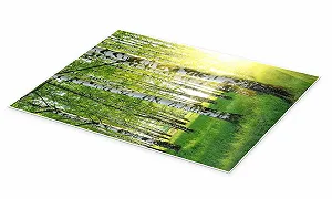 Постер Береза в летнем лесу 60 x 80 см Зеленый synthetic.ua - Фото 1