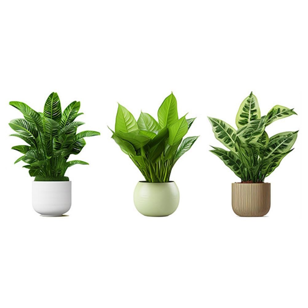 Наклейка на стіну UPKOCH 1 набір Рослини в горщиках Вініл ПВХ Тропічні рослини Зелений, фото №1 Наклейка на стіну UPKOCH 1 набір Рослини в горщиках Вініл ПВХ Тропічні рослини Зелений, фото №1