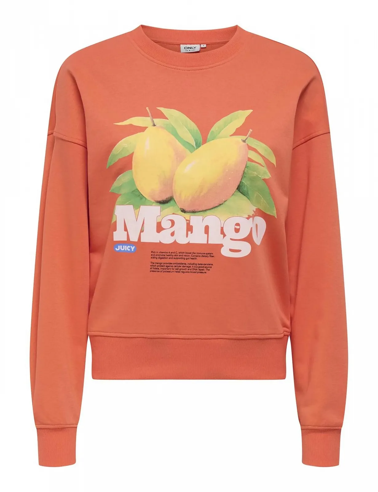 Кофта ONLY Onlphilea L/S Fruit O-Neck Ub SWT Женская, фото №1 Кофта ONLY Onlphilea L/S Fruit O-Neck Ub SWT Женская, фото №1