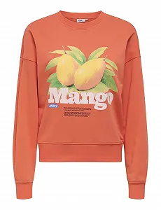 Кофта ONLY Onlphilea L/S Fruit O-Neck Ub SWT Женская - Фото 1