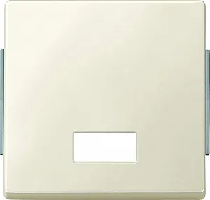 Клавіша Merten AquaDesign 343844 з вікном для символів Білий - Фото 1