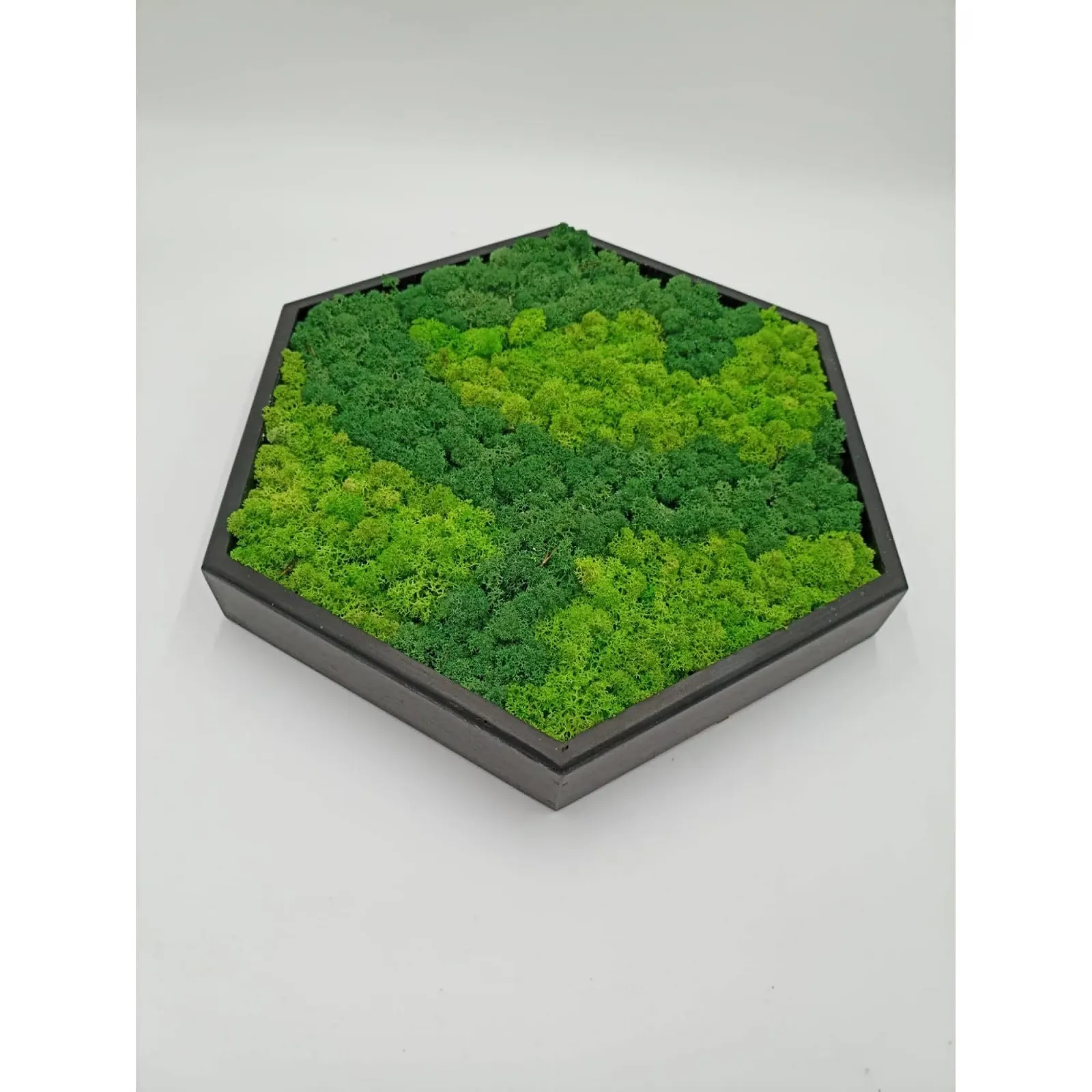 Картина з моху LoveLasy Bicolour Moss Wall Picture Hexagon Чорна рама Середня, фото №1 Картина з моху LoveLasy Bicolour Moss Wall Picture Hexagon Чорна рама Середня, фото №1