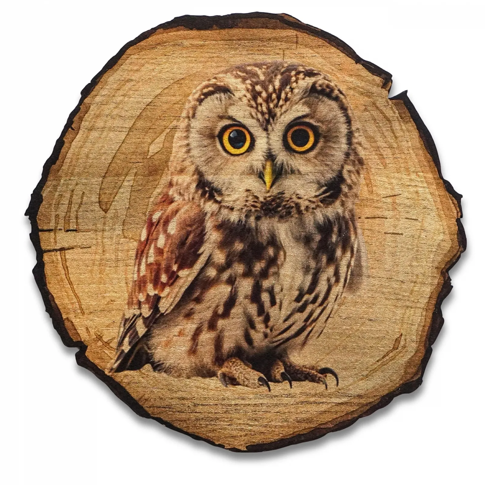 Картина настінна DRO Design Сова 30 см Рустикальна Вінтажний стиль Декор під дерево, фото №1