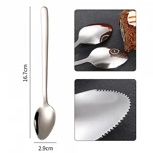 Ложка для грейпфрута Kiwi, серебристая, из нержавеющей стали, с зубцами, 2 шт synthetic.ua - Фото 1