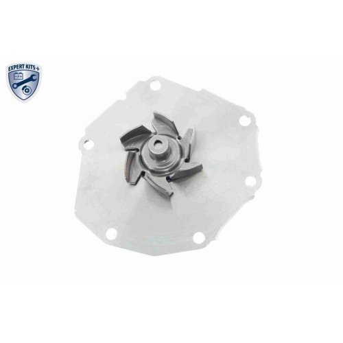 Водяной насос системы охлаждения двигателя VAICO EXPERT KITS + V48-50004 для VOLVO LAND ROVER, фото №4