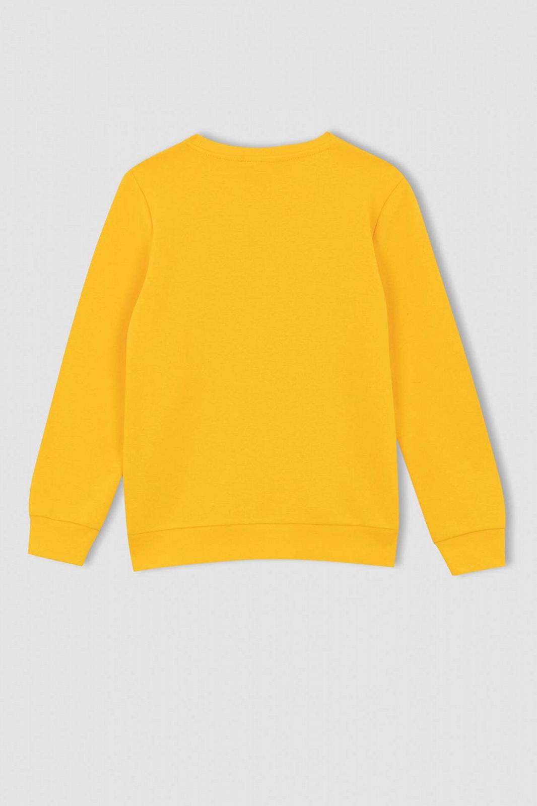 Свитшот DeFacto для мальчиков, фото №3