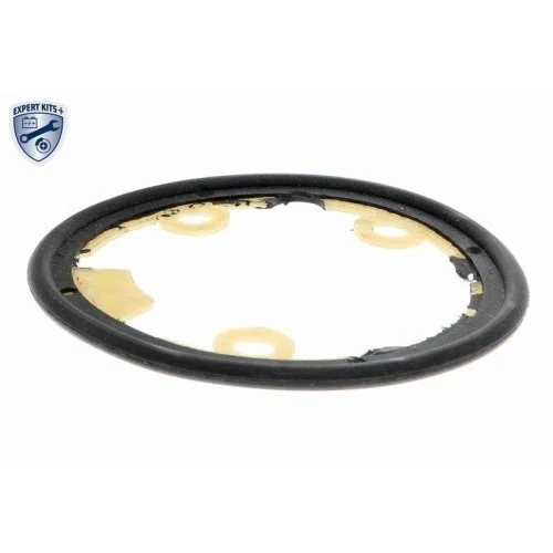 Радиатор масляный двигателя VEMO V24-60-0021 EXPERT KITS + для FIAT, фото №2