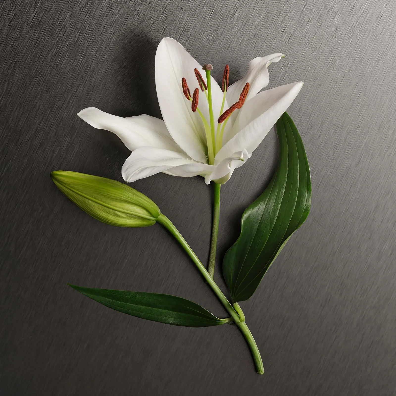 Лосьон для тела Calvin Klein Eternity for Her, 200 мл, фото №3