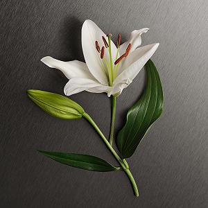 Гель для душу Calvin Klein Eternity Women 150 мл synthetic.ua - Фото 1