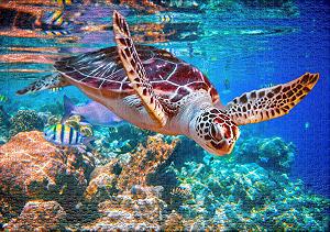 Пазл Ulmer Puzzleschmiede Classic Sea Turtle 1000 элементов Разноцветный synthetic.ua - Фото 1