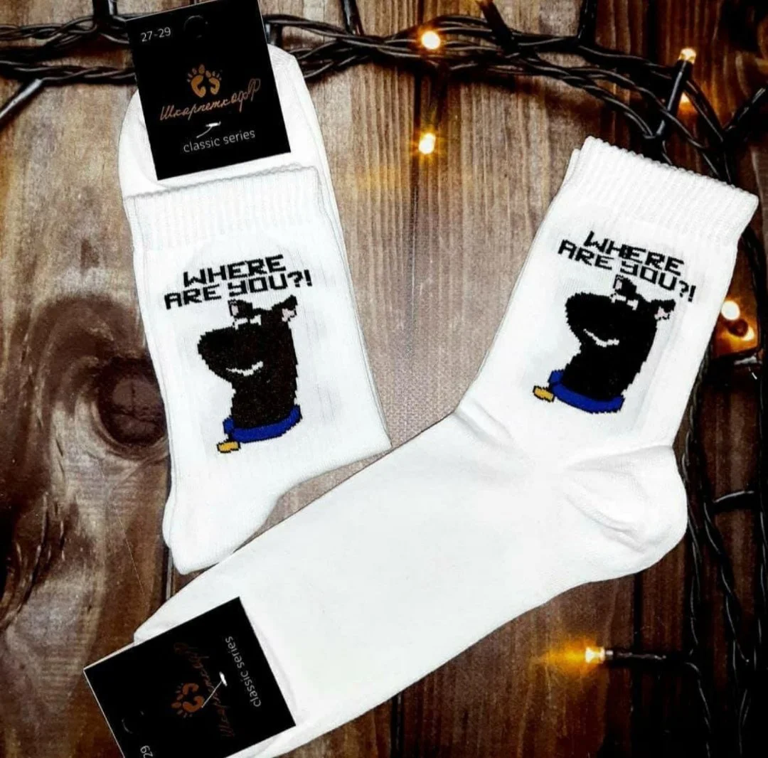 Чоловічі молодіжні шкарпетки високі демісезонні білі 39 - 44 розмір, фото №1