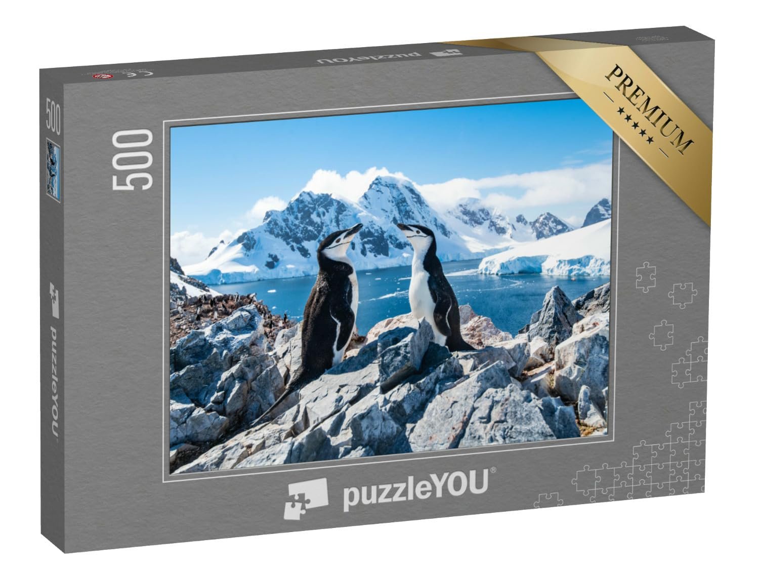 Пазл puzzleYOU Penguins, Polar Regions Collection Reins Penguin, Antarctica, January 2019 500 элементов, фото №1