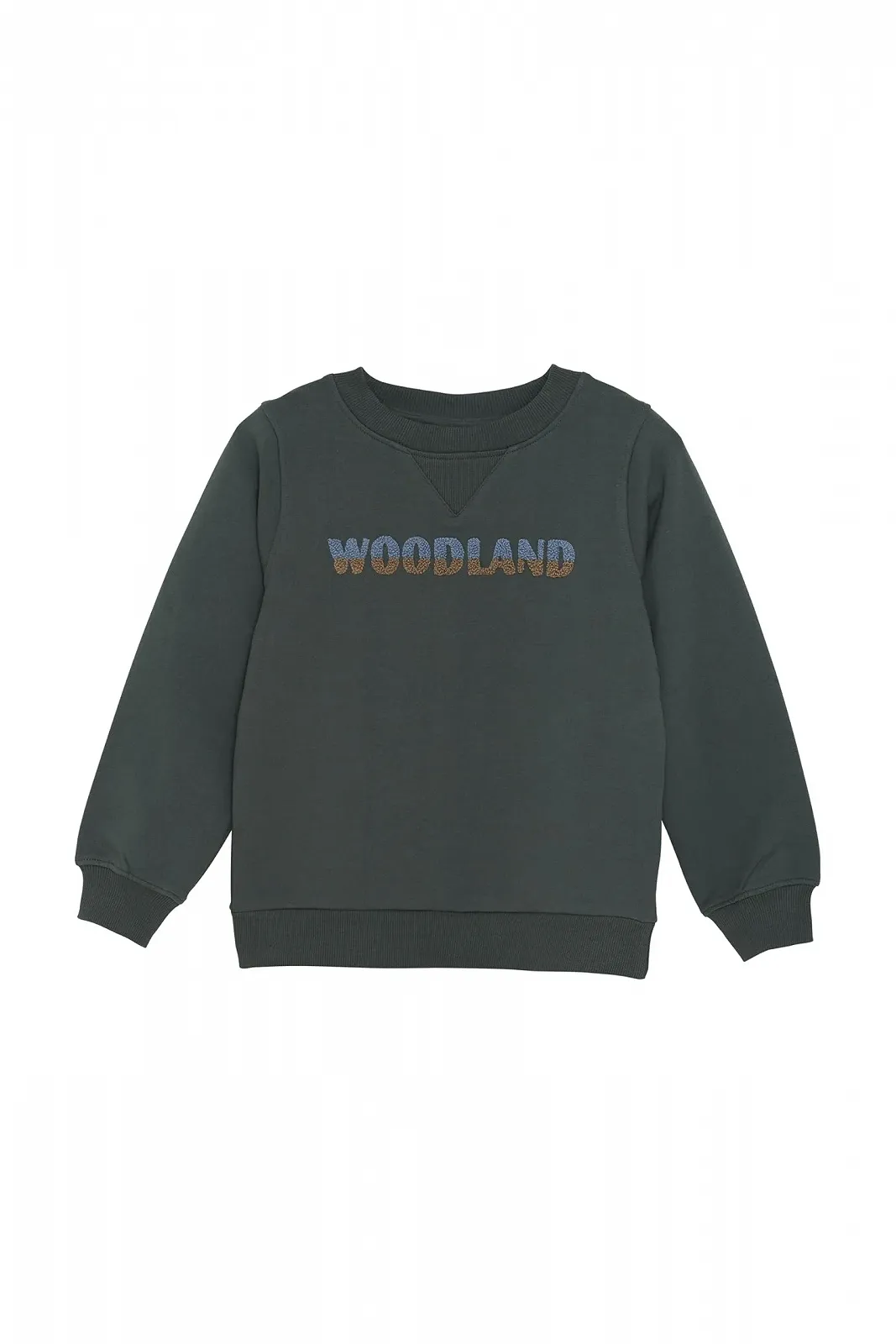 Свитшот EN FANT Детский для мальчиков, легкий, эластичный, аппликация крючком, смесь хлопка, стандартный крой, фото №1