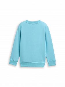 Толстовка Tom Tailor Basic з принтом для хлопчиків 1048533 (1 шт.) synthetic.ua - Фото 1