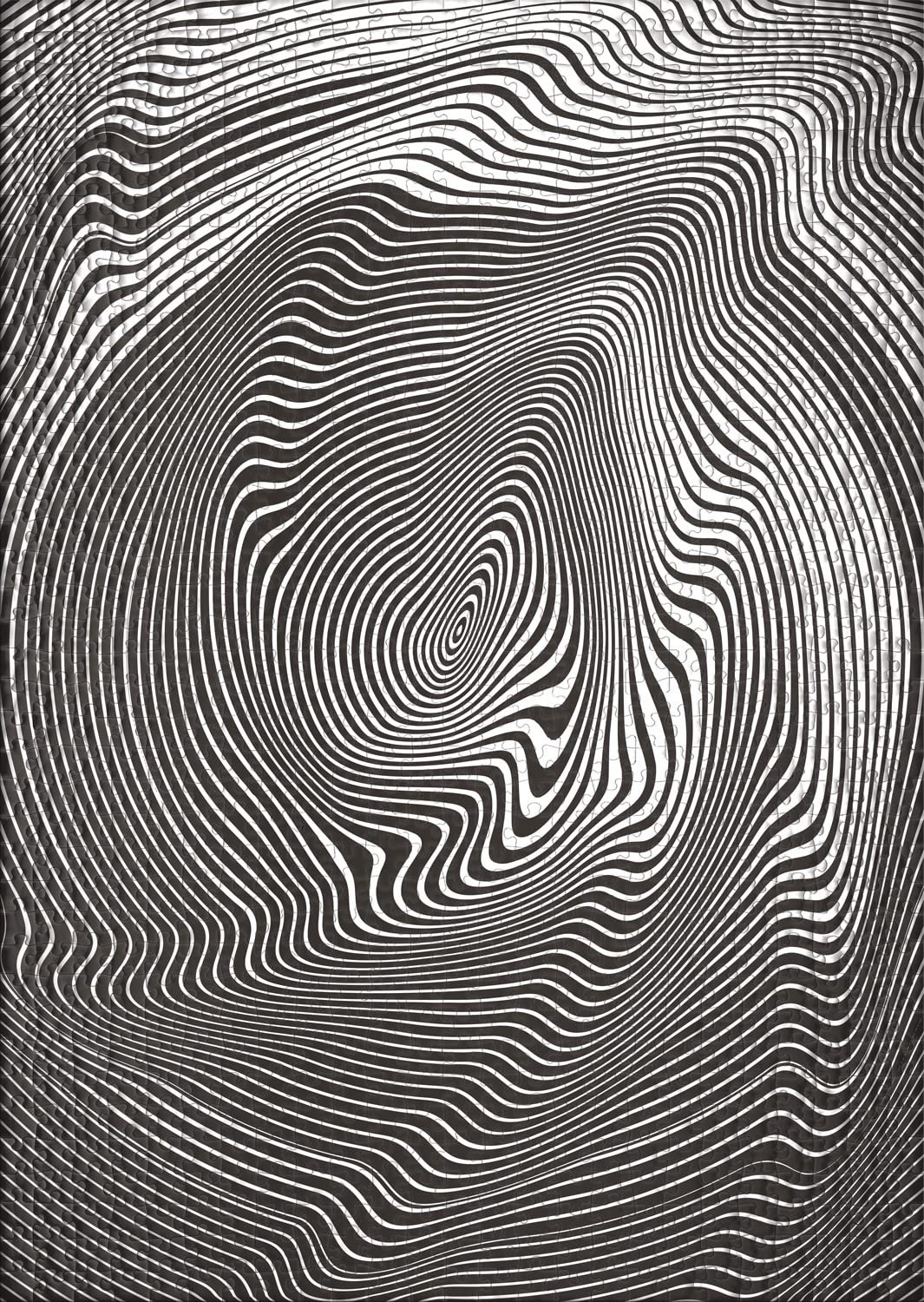 Пазл Ulmer Puzzleschmiede Impossible Puzzle Irrwitz 1000 деталей, фото №2