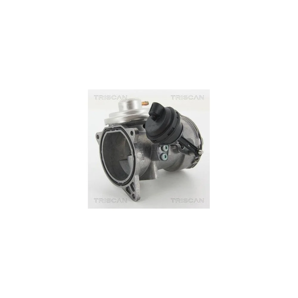 Клапан EGR TRISCAN 8813 29070 для VW, фото №1