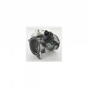Клапан EGR TRISCAN 8813 29070 для VW - Фото 1