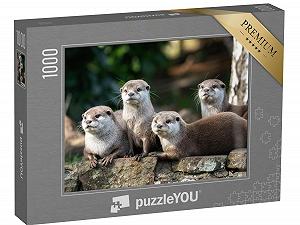 Пазл puzzleYOU Otter, Fish & Aquatic Animals "Group of Four Observant Oriental Little Otters" 1000 элементов - Фото 1