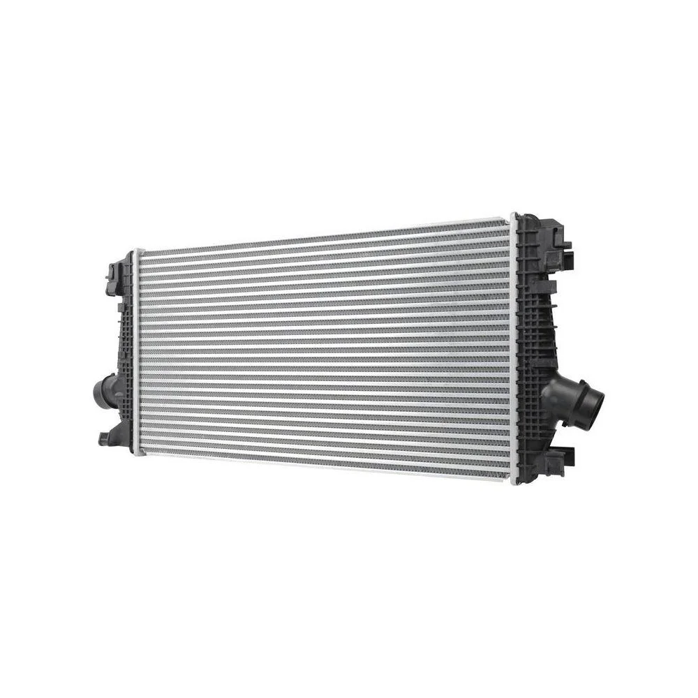 Інтеркулер HELLA 8ML 366 340-551 для OPEL VAUXHALL CHEVROLET HOLDEN, фото №1