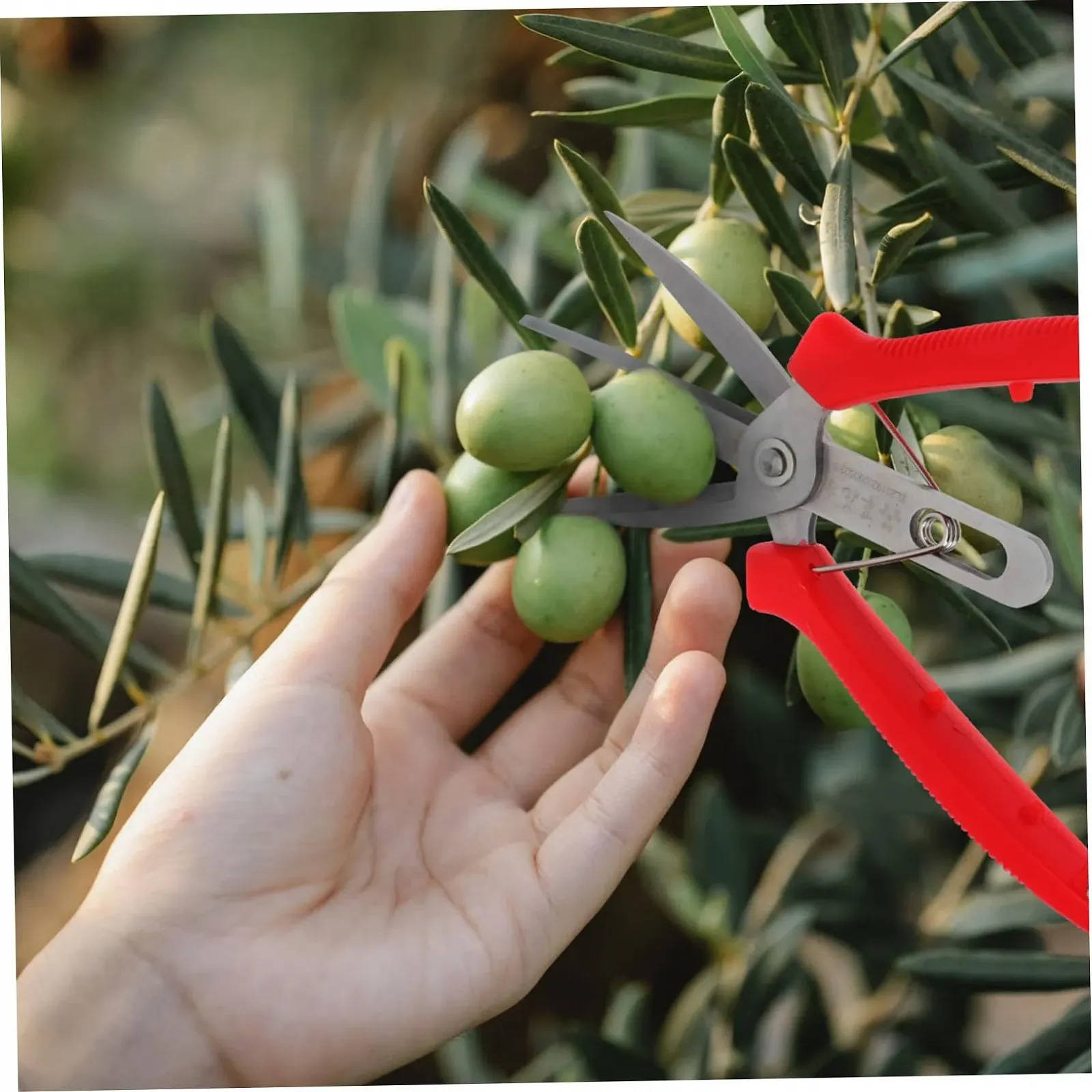 Садові ножиці з подвійним лезом Happyyami ABS, фото №8