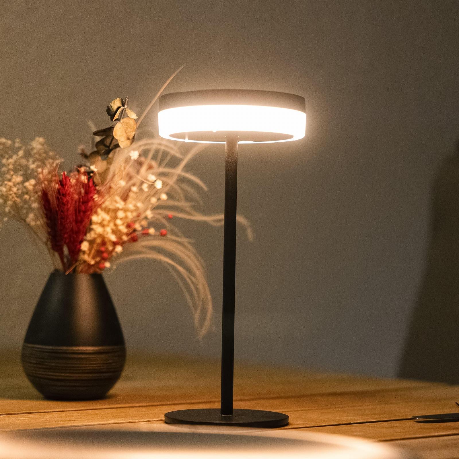 Настільна лампа Esotec Ella Solar Sensor Touch Dimming Li-ion USB-C LED 27.6 см Чорна, фото №4