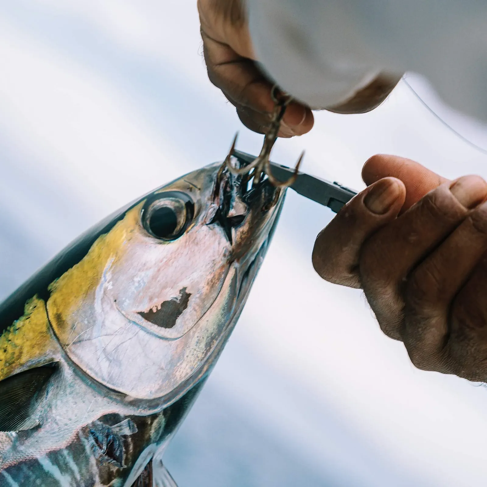 Плоскогубцы изогнутые Mustad 11", фото №2 Плоскогубцы изогнутые Mustad 11", фото №2