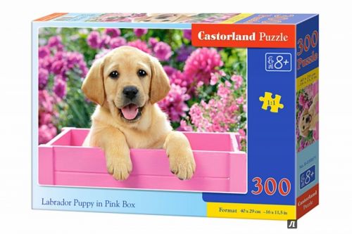 Пазлы "Щенок лабрадора" 300 элементов, фото №1 Пазлы "Щенок лабрадора" 300 элементов, фото №1