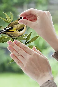 Наклейка на вікно Komar Wedding Birds 16007 31 x 31 см 2 аркуші synthetic.ua - Фото 1