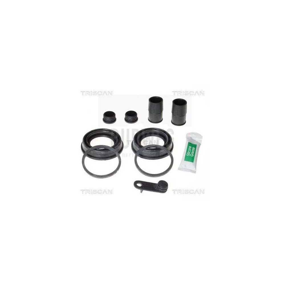 Ремкомплект, гальмівний супорт TRISCAN 8170 204231 для передня вісь, фото №1