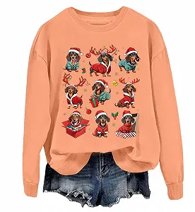 Рождественский джемпер Dachshund Рождественская футболка Dachshund Рождественская футболка Dachshund Толстовки Dachshund для женщин - Фото 1