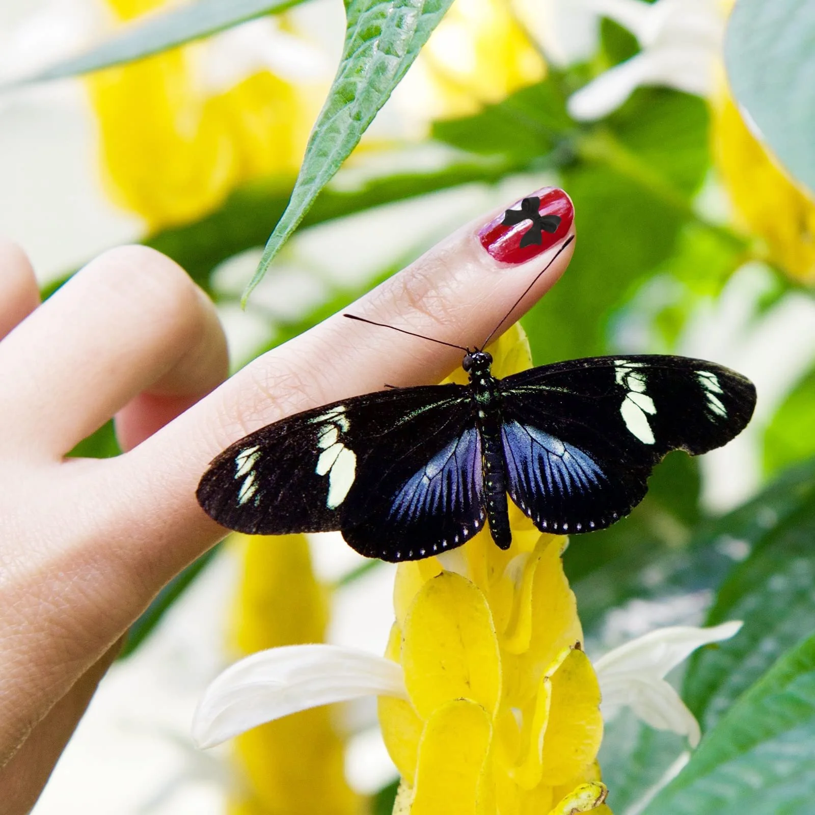 Украшения для ногтей Бантики 500 шт., фото №7