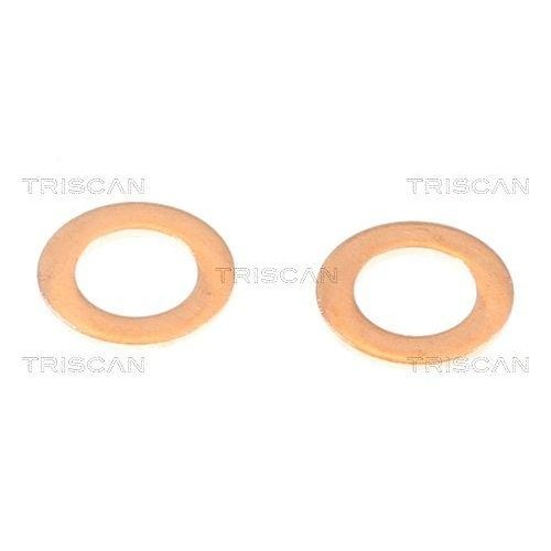 Тормозной шланг TRISCAN 8150 42143 для MITSUBISHI, передняя ось справа, фото №4