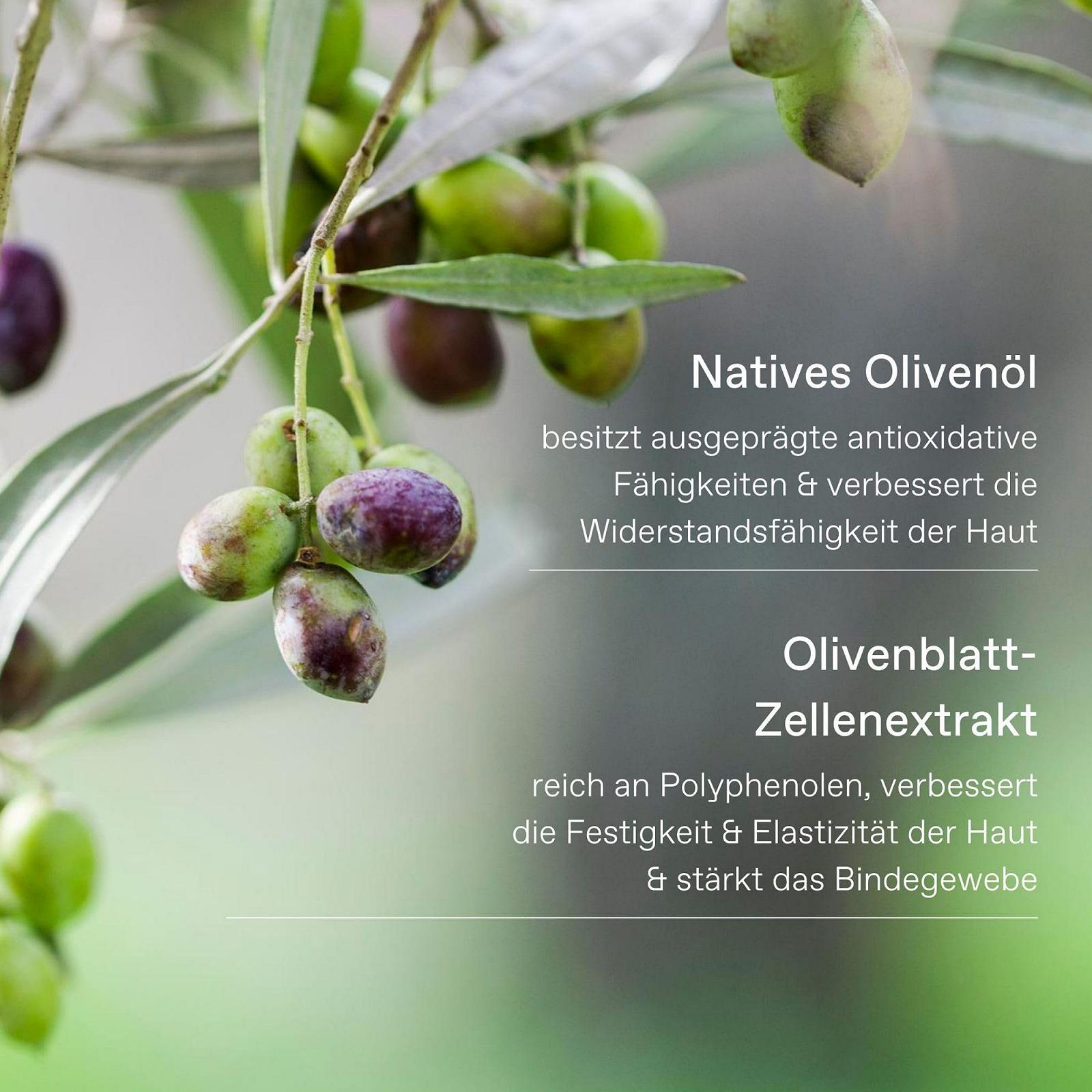 Молочко для тіла та гель для душу Korres Olive & Olive Blossom 200 мл та 250 мл (упаковка з 2 шт.), фото №3