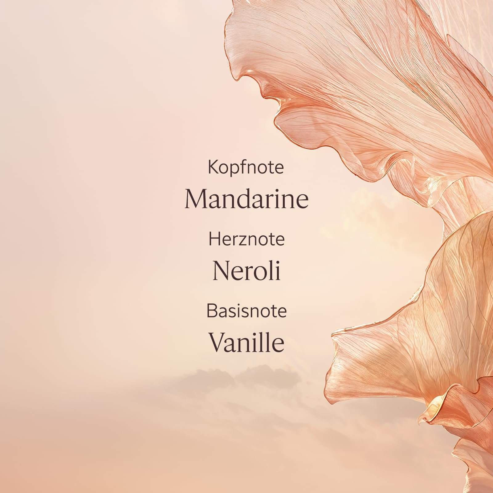 Парфюмированный гель для душа L'OCCITANE Néroli Orchidée Сделано во Франции, фото №4