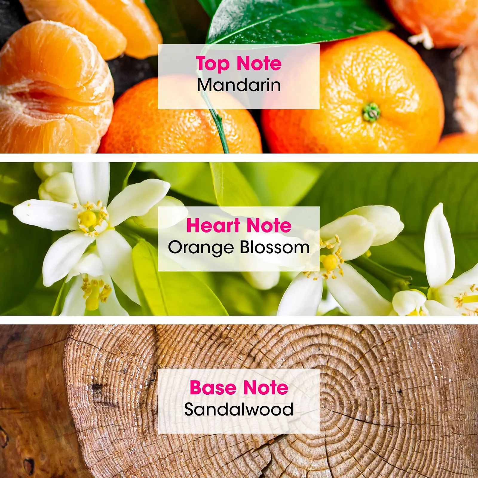 Парфюмированная вода JEANNE ARTHES Boum Candy Land Цветочный Апельсиновый цвет и мускус 100 мл, фото №2 Парфюмированная вода JEANNE ARTHES Boum Candy Land Цветочный Апельсиновый цвет и мускус 100 мл, фото №2