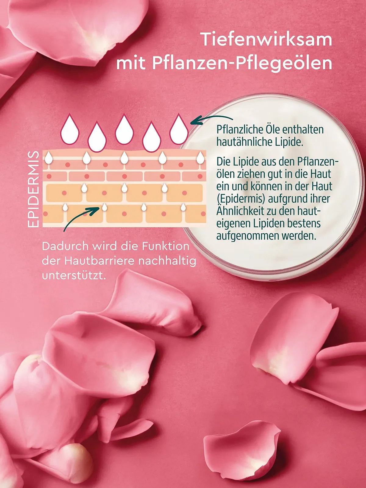 Лосьйон для тіла Kneipp Firming Швидко вбирається - 200 мл, фото №3