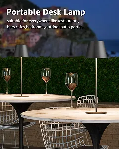 Настільна лампа FUYO LED акумуляторна бездротова USB-C сенсорна димована комплект 2 шт. чорна synthetic.ua - Фото 1