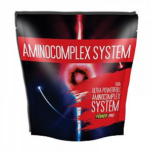 AminoComplex System 500 g журавлина - Фото 1