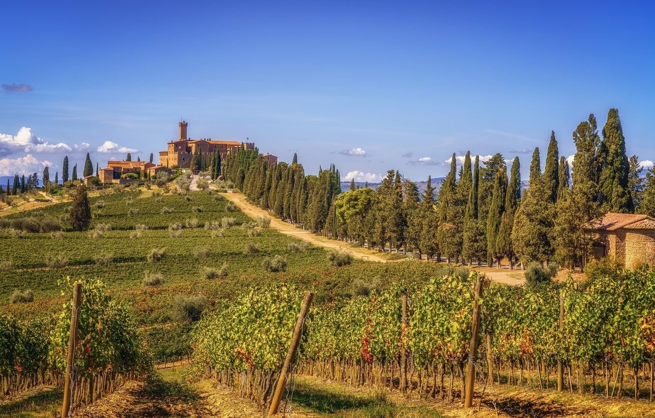 Пазл Landscape Hills Italy Vineyard Tuscany 300 деталей 38 x 26 см, фото №1 Пазл Landscape Hills Italy Vineyard Tuscany 300 деталей 38 x 26 см, фото №1