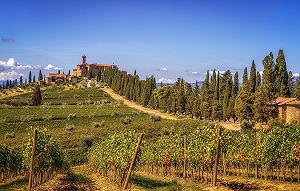Купить Пазл Landscape Hills Italy Vineyard Tuscany 300 деталей 38 x 26 см - Фото 1 Пазл Landscape Hills Italy Vineyard Tuscany 300 деталей 38 x 26 см - Фото 1