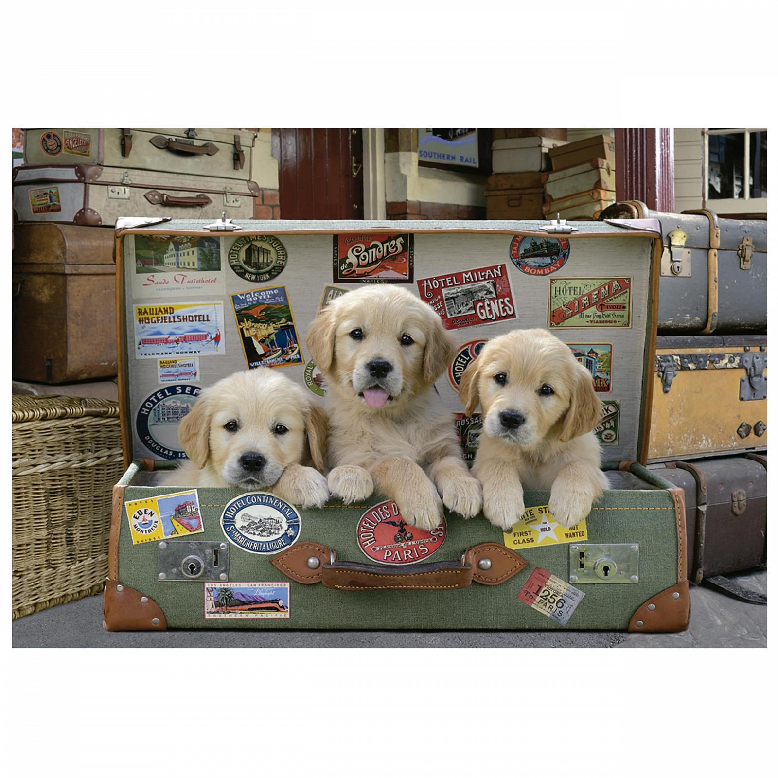 Пазл Educa Borrás 17645 Puppies in the Bag 500 элементов, фото №2