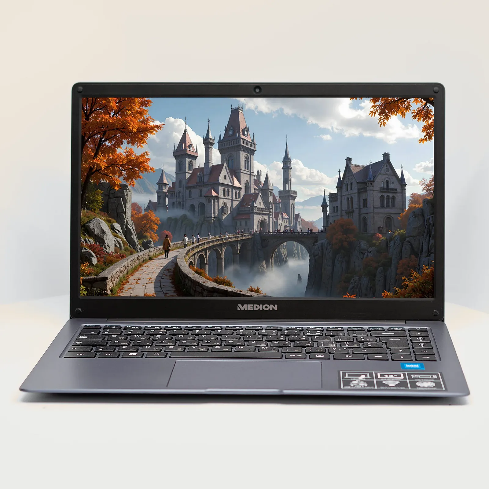 Ноутбук 14" Medion (Lenovo Group) Akoya E14223 | 10-е покоління Intel Celeron N4120 | RAM DDR4 4 ГБ | eMMC 128 ГБ | Intel UHD Graphics 600 | АКБ до 9 годин | Wi-Fi 5.0 | Bluetooth 5.1 | Win11 (5106), фото №1