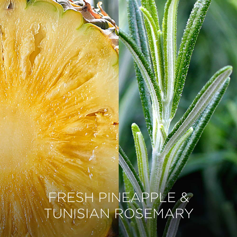 Свеча Botanica by Air Wick Fresh Pineapple & Tunisian Rosemary 205 г (упаковка из 2 шт.), фото №3 Свеча Botanica by Air Wick Fresh Pineapple & Tunisian Rosemary 205 г (упаковка из 2 шт.), фото №3