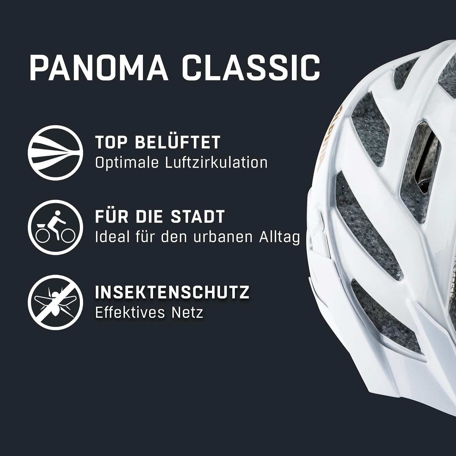Шлем ALPINA PANOMA Classic, фото №2