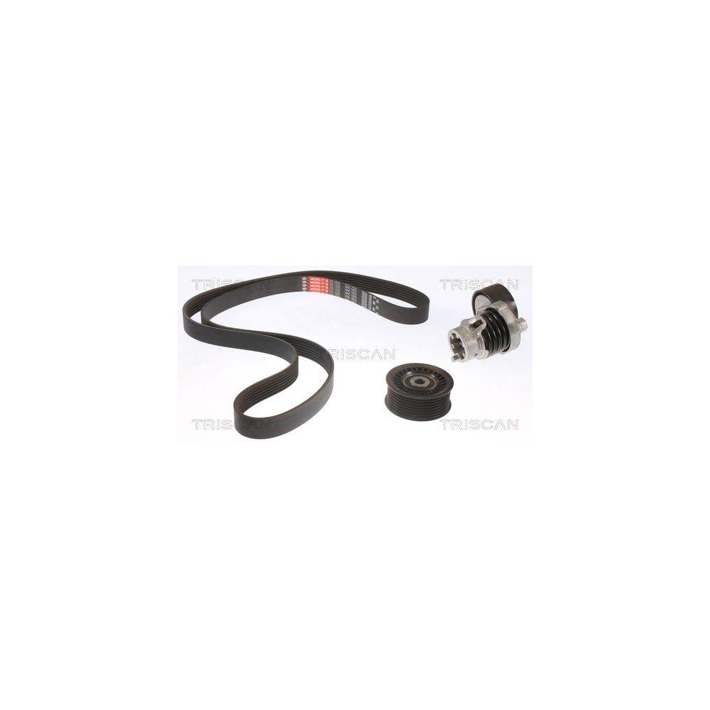 Комплект ременя ГРМ TRISCAN 8647 25016 для RENAULT, фото №1