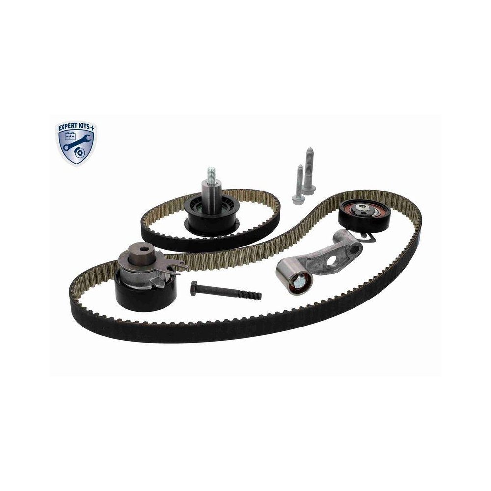 Комплект ременя ГРМ VAICO EXPERT KITS + V10-4229 для AUDI FIAT SEAT SKODA VW VAG, фото №1