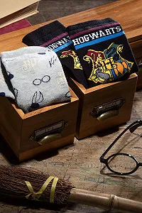 Носки Harry Potter Hogwarts and Golden Snitch Хлопковые Женские 2 пары в упаковке synthetic.ua - Фото 1