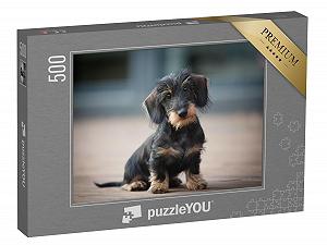 Пазл puzzleYOU Dog Jigsaw Puzzle Collection "Милый щенок жесткошерстной карликовой таксы" 500 элементов - Фото 1