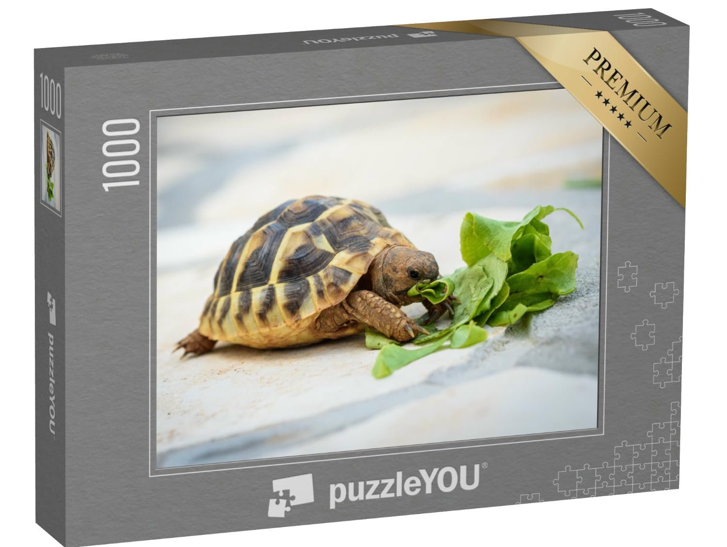 Пазл puzzleYOU Sea Turtles, Fish & Aquatic Animals Домашняя черепаха за поеданием салата 1000 элементов, фото №1